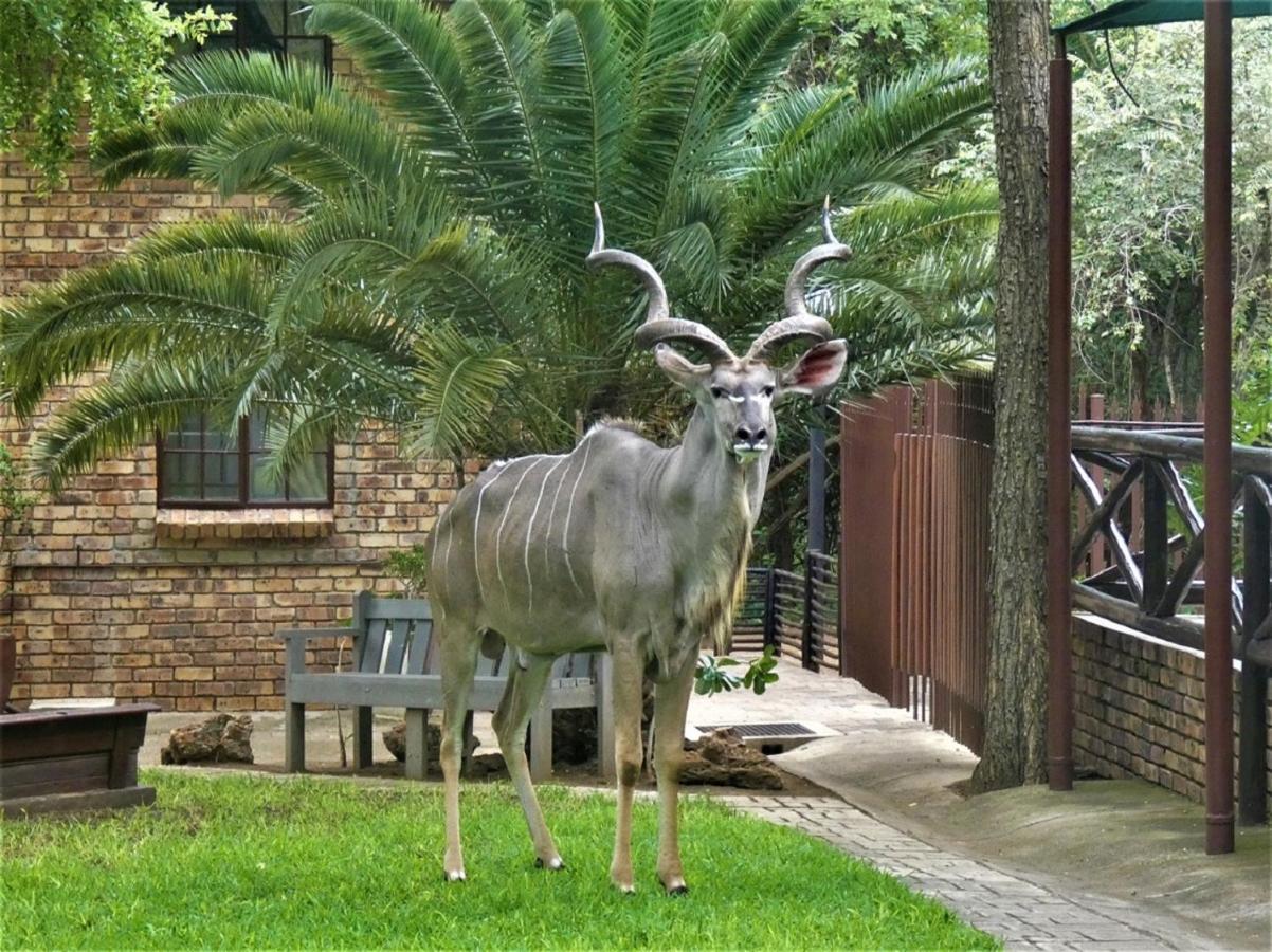 Weltevrede Lodge - Self Catering Houses Marloth Park Exterior foto